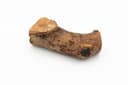 Rustic Olive Wood Chew - XL (451-800 g) 1