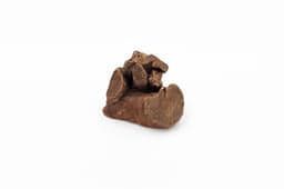 Raíz de brezo - S (151-300 gr.) 2