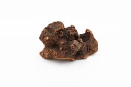 Briar Root Chew - L (501-750 g) 1