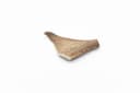 Fallow Antler - M (75-150 g) 2