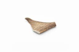 Fallow Antler - M (75-150 g) 2