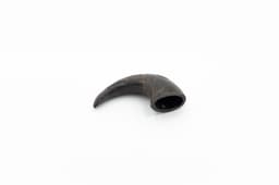 Buffalo Horn - S (85-150 g) 2