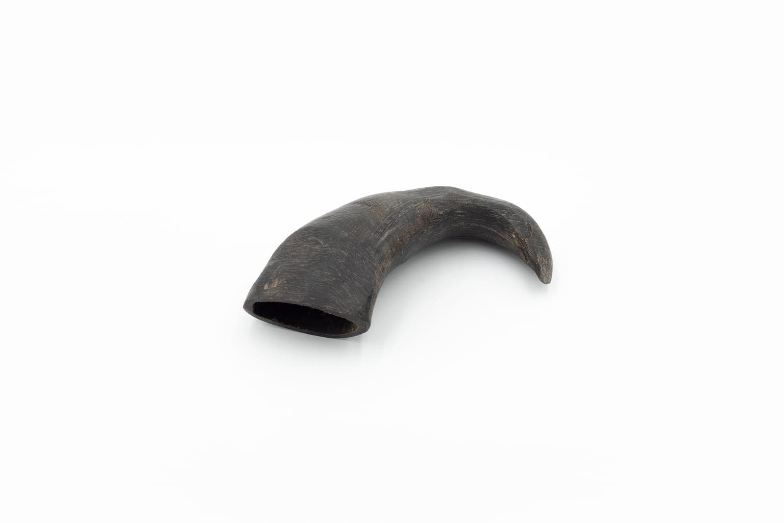 Buffalo Horn - M (150-220 g)