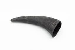 Buffalo Horn - L (230-350 g) 1