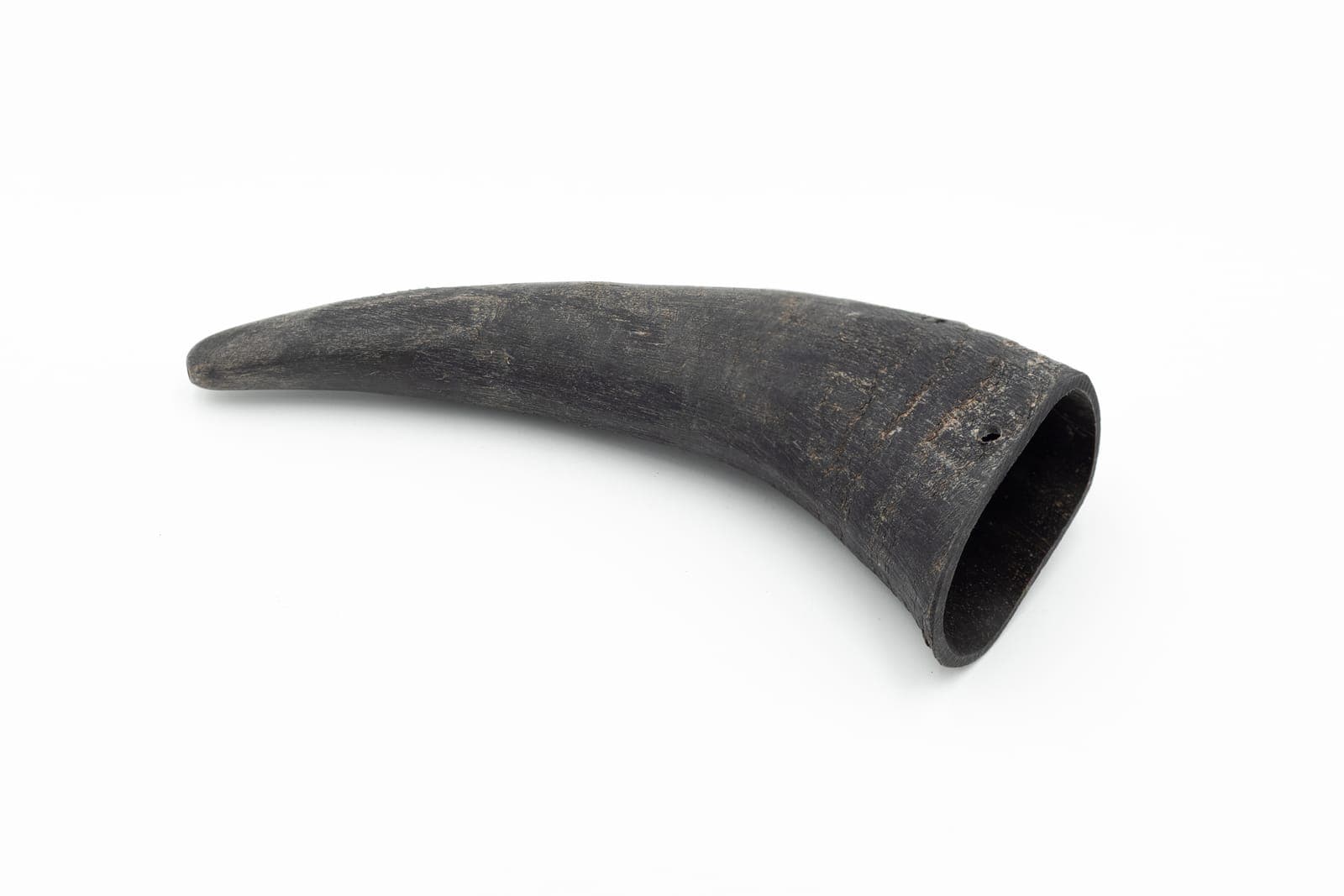 Buffalo Horn - L (230-350 g)
