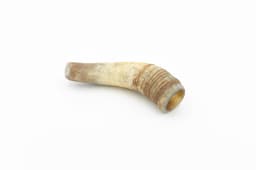 Cow Horn - M (201-300 g) 2