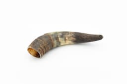 Cow Horn - M (201-300 g) 3