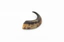 Ram Horn - M (101-200 g) 1