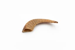 Ram Horn - L (201-300 g) 1