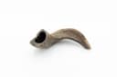 Ram Horn - L (201-300 g) 3