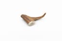 Deer Antler - M (76-150 g) 1