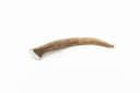 Deer Antler - M (76-150 g) 2