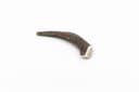 Deer Antler - L (151-225 g) 1
