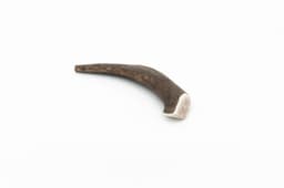 Deer Antler - L (151-225 g) 1