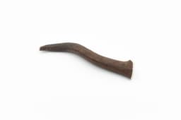 Deer Antler - L (151-225 g) 2