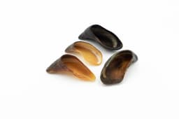 Pezuñas de búfalo 4 unidades/pack (250-350 gr.) 2