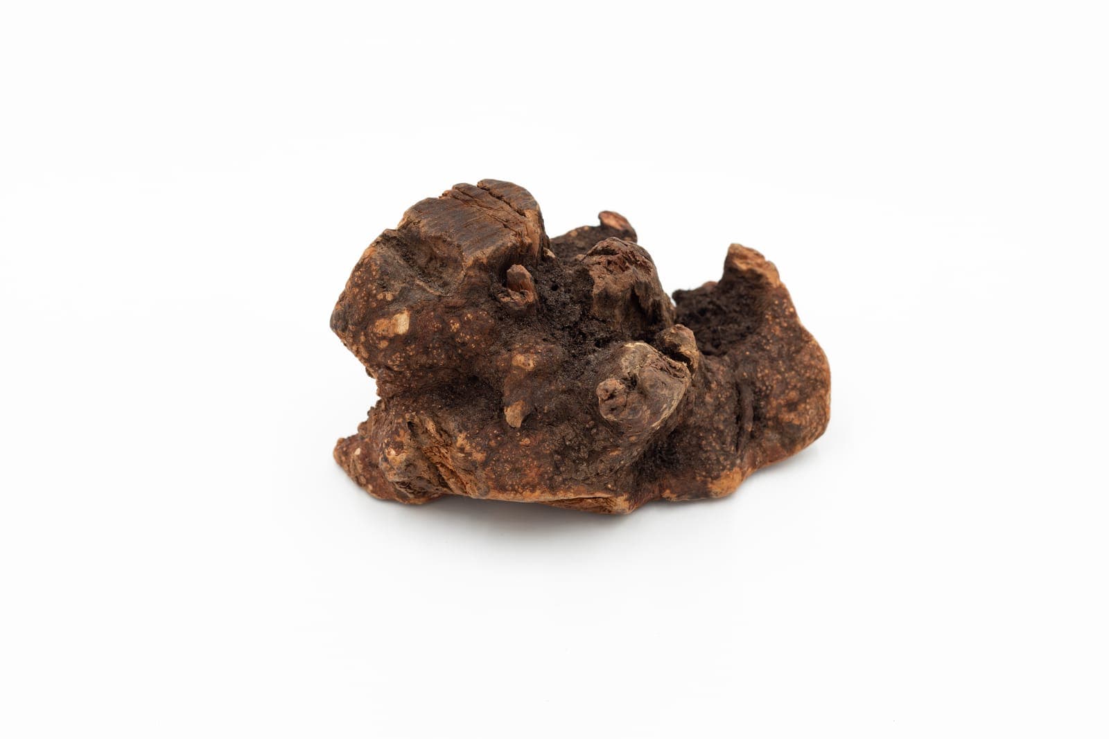 Briar Root Chew - L (501-750 g)