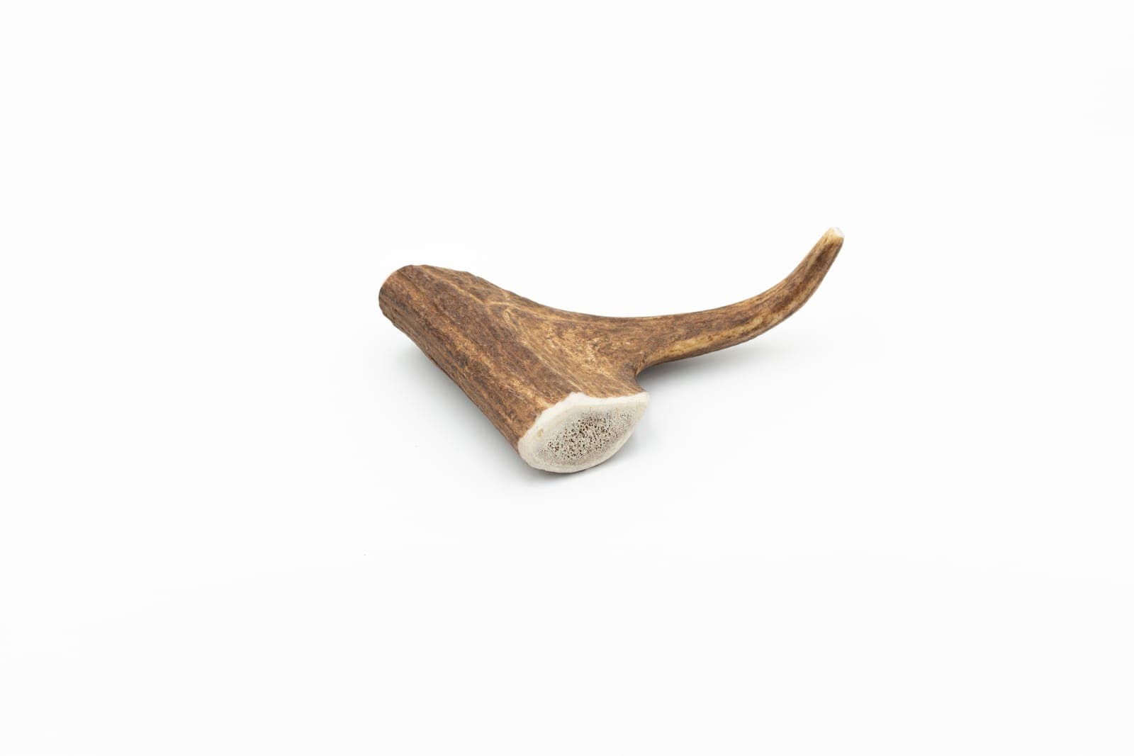 Deer Antler - M (76-150 g)