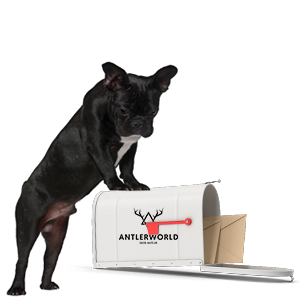Perro de la raza Bulldog apoyado en el buzón de Antlerworld, mordedores para perros 100% natural y de la máxima calidad