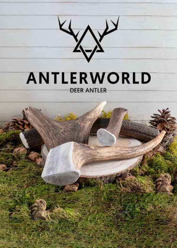 Mordedores cuernos de ciervo Antlerworld varias tallas