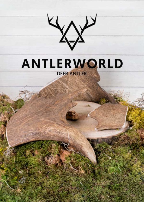 Antlerworld deer antler chews, different sizes, specialists in 100% natural and highest quality dog ​​chews