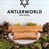 mordedores huesos de madera de olivo Antlerworld varias tallas