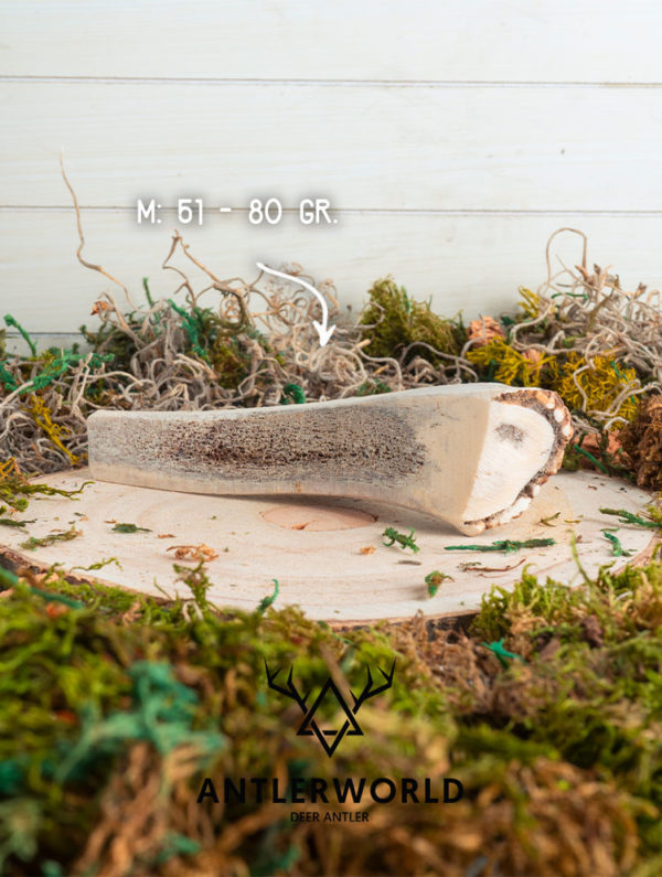 Mordedor de asta de ciervo partida (deer antler) talla M de Antlerworld, 100% natural y de la máxima calidad