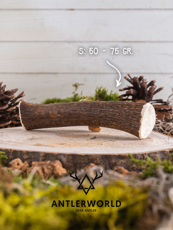 Mordedor de asta de ciervo (deer antler) talla S de Antlerworld, 100% natural y de la máxima calidad