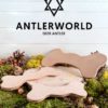 Mordedores de cuero con forma de hueso de Antlerworld